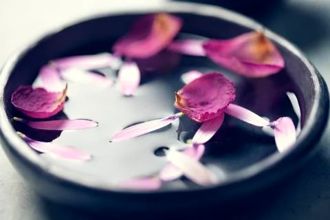 Aromatherapy Stock Photos