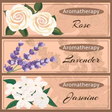 Aromatherapy set collection. Rose, lavender, jasmine Stock Illustration
