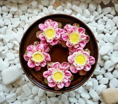 Aromatherapy spa flowers Stock Photos
