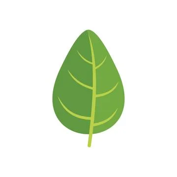 Aromatic basil icon flat vector. Spice leaf Illustrazione stock