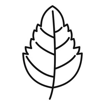 Aromatic basil leaf icon outline . Herb spice Stock Illustration