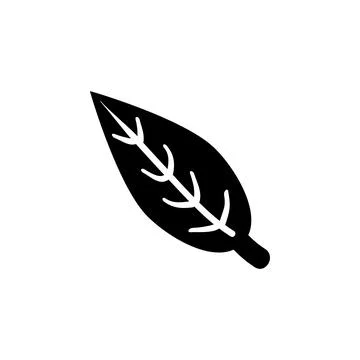 Aromatic Bay Laurel Leaf, Aroma Spice Solid Flat Vector Icon Isolated on Whit Stock Illustration