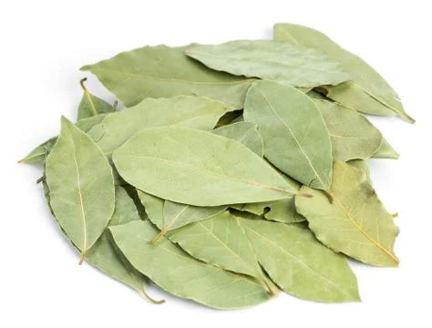 Aromatic bay leaves Stock Photos