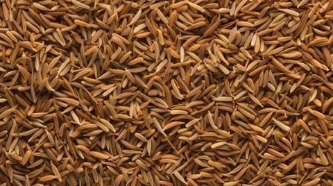 Aromatic Caraway Spice Horizontal Background. Stock Illustration
