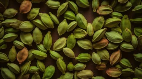 Aromatic Cardamom Spice Horizontal Background. Stock Illustration
