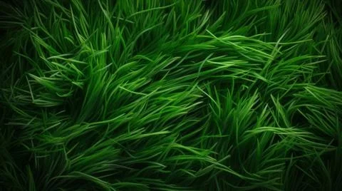 Aromatic Chives Herbs Horizontal Background. Stock Illustration
