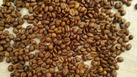 Aromatic coffee beans are randomly scattered on a textile napkin, in a slow Video stock 150907394