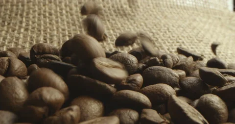 Aromatic coffee beans with soft diffused smoke. Burlap bag with falling roasted Video stock 236715300