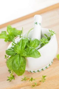 Aromatic culinary herbs. Stock Photos