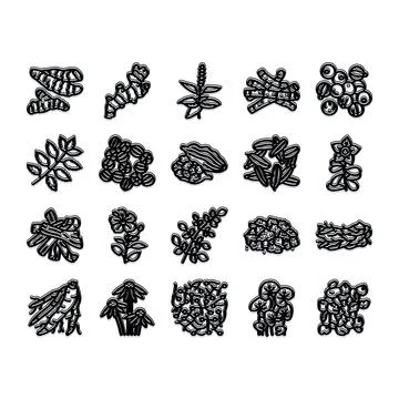 Aromatic culinary spices and herbs vector illustration set Stock Illustration
