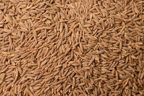Aromatic Cumin Seeds Texture Background Macro Spice Food Photography Foto stock