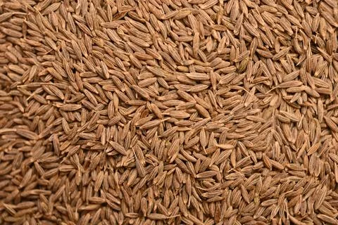 Aromatic Cumin Seeds Texture Background Macro Spice Food Photography Stock Photos