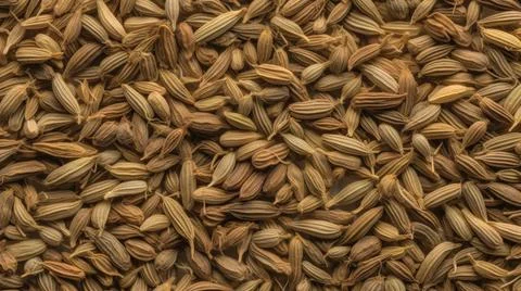 Aromatic Cumin Spice Horizontal Background. Stock Illustration