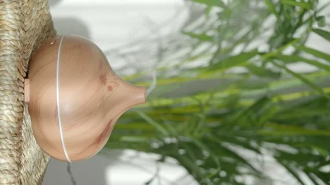 Aromatic diffuser for home fragrances and humidification against a backgrou.. Stock Footage 332893109