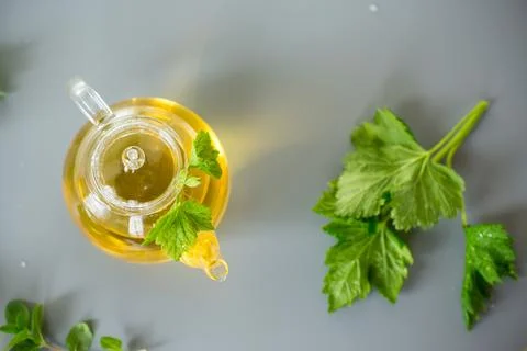 Aromatic drink from mint and currant leaves in a teapot and cup Stock Photos
