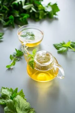 Aromatic drink from mint and currant leaves in a teapot and cup Stock Photos