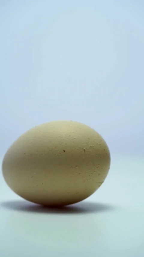Aromatic Egg Spinning Brown Chicken Organic In Studio Video stock 331762496