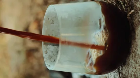 Aromatic freshly brewed coffee in nature in a transparent glass with fragrant Stock Footage 256992292