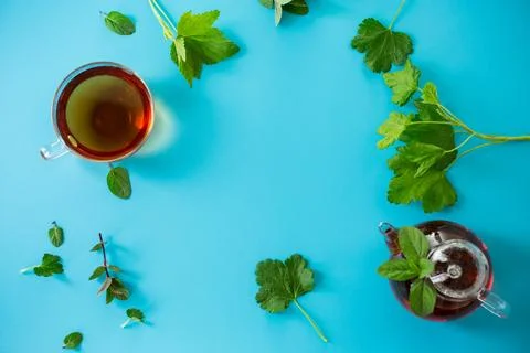 Aromatic herbal tea from mint and currant on a blue background Stock Photos