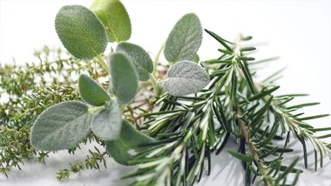 Aromatic herbs over white background. Thyme, rosemary, sage salvia green leaves Stock Footage 294823743