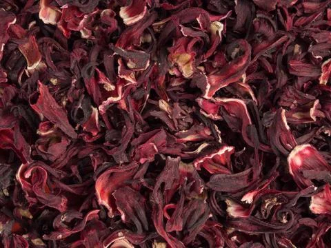 Aromatic hibiscus tea Stock Photos