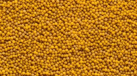 Aromatic Mustard Seed Spice Horizontal Background. Stock Illustration