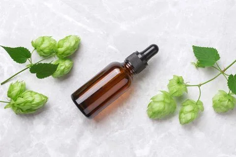 Aromatic or essential oil in bottle with fresh hop cones Stock Photos