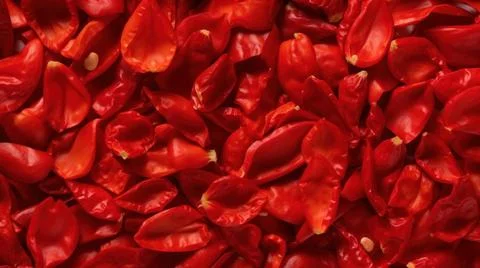 Aromatic Paprika Spice Horizontal Background. Stock Illustration
