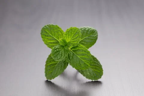 Aromatic peppermint leaf on sleek surface. Stock Photos