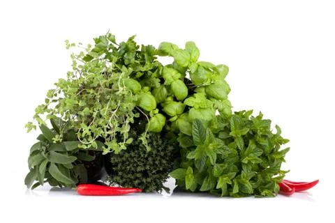 Aromatic plants mix Stock Photos