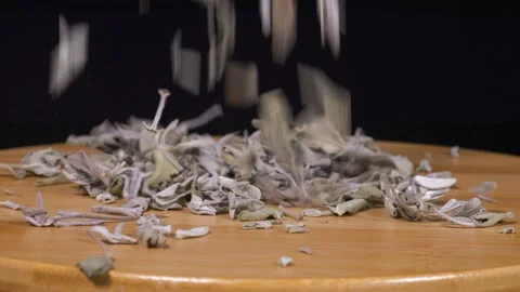 Aromatic Plants, Sage 스톡 동영상 333111454