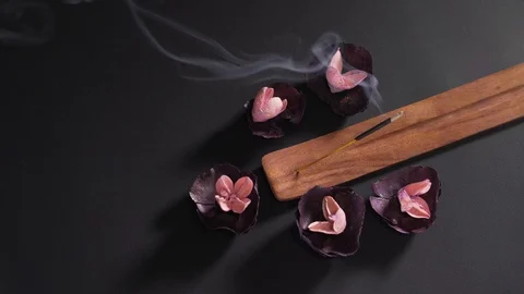 Aromatic religious stick on a black background in a wooden stand. Dry fragrant Stock Footage 124859803
