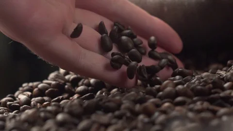Aromatic roasted coffee beans being held over a table, hands testing quality in Video stock 82103727