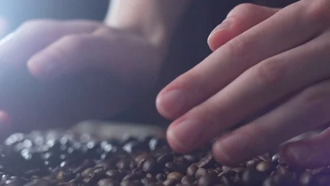 Aromatic roasted coffee beans being held over a table, hands testing quality in Stock Footage 82153706