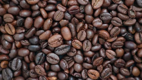 Aromatic roasted coffee beans rotate. Organic coffee seeds. Video stock 237016865