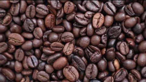 Aromatic roasted coffee beans rotate. Organic coffee seeds. Slow motion video. Stock-Footage 241025032