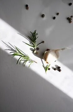 Aromatic rosemary and assorted pepper spices with dramatic shadows on textured w Stock Photos