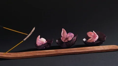 The aromatic stick burned on a dark background. Smouldering incense is cleaned Stock Footage 125641577