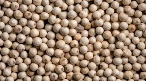 Aromatic White Pepper Spice Horizontal Background. Stock Illustration