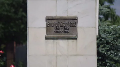 Aron Voda Statue plate 库存影片 44888774