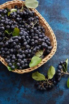 Aronia Stock Photos