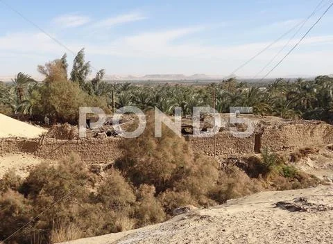 Around bahariya oasis Stock Photos