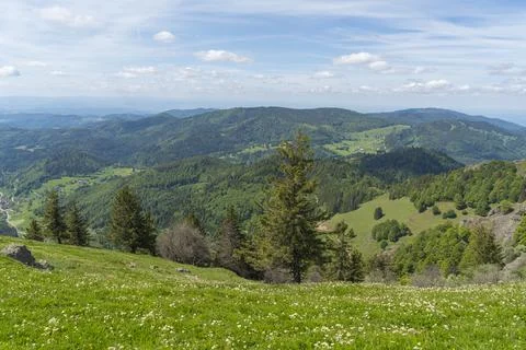 Around Black Forest Belchen Stock Photos