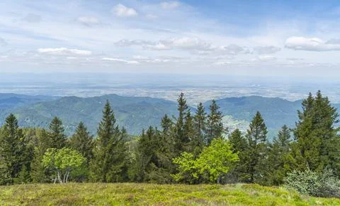 Around Black Forest Belchen Stock Photos