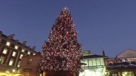 Around the Christmas Tree Stock Footage 58049757