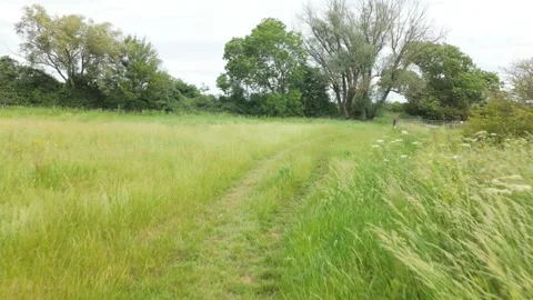 Around the corner at the edge of a field by the River Nene 库存影片 336242313