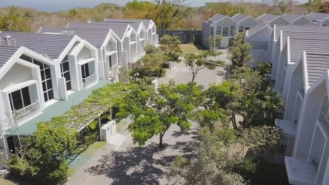 Around the green tree in the middle of the cottage village aerial footage Stock Footage 100613403