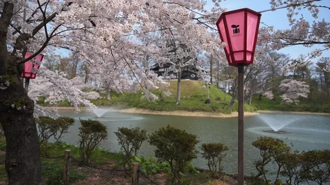 Around Joetsu castle during cherry blossom Stock Footage 128303936