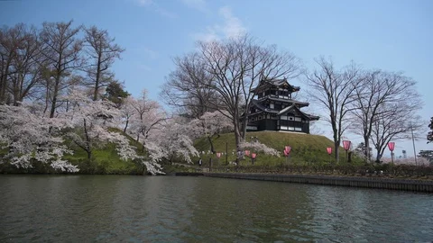 Around Joetsu castle during cherry blossom Stock Footage 128304131
