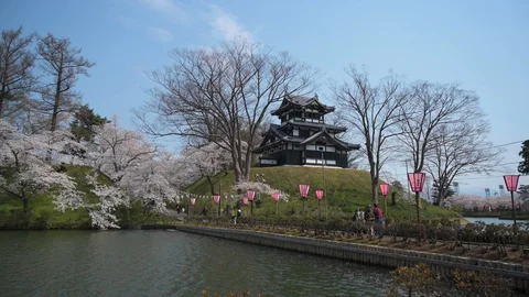 Around Joetsu castle during cherry blossom Stock Footage 128304590